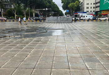 巴陵广场第 119 张图片