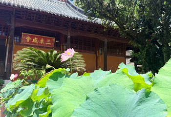天台山景区第 72 张图片