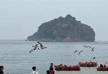 大连金石滩国家旅游度假区第 21 张图片