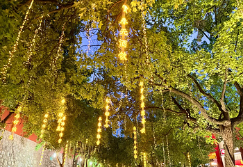 大唐不夜城第 110 张图片