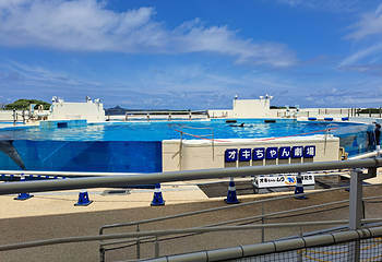 冲绳美丽海水族馆第 33 张图片