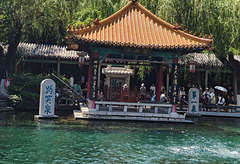 趵突泉景区第 148 张图片