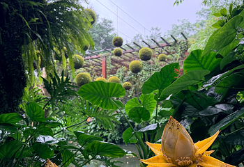 青秀山第 139 张图片