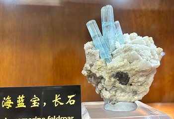 青岛德国总督楼旧址博物馆第 88 张图片
