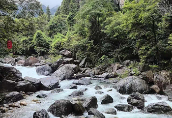 石台牯牛降景区第 113 张图片