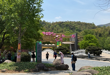 宜兴竹海风景区第 37 张图片