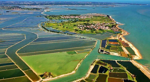 南三岛旅游区-露营地