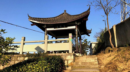 龙山生态公园(新河路)第 1 张图片