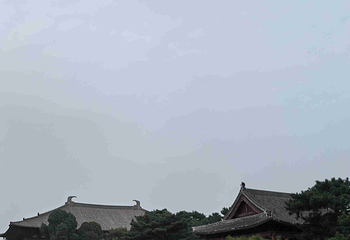 奉国寺第 37 张图片