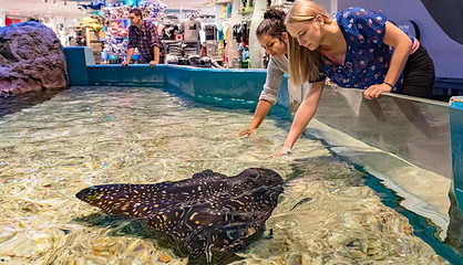 加拿大里普利水族馆第 12 张图片