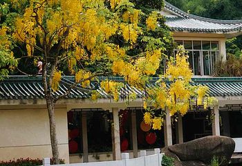 厦门园林植物园第 77 张图片