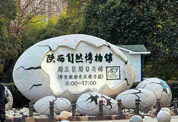 陕西自然博物馆第 31 张图片