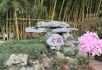 个园第 141 张图片