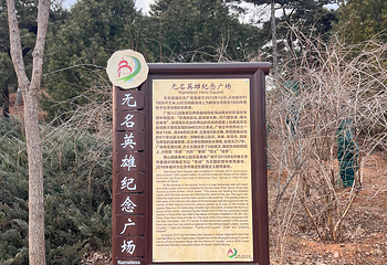 北京西山国家森林公园第 45 张图片