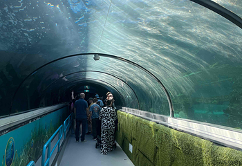悉尼水族馆第 41 张图片
