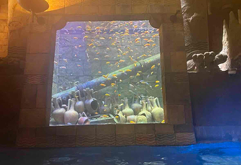 新加坡水上探险乐园第 89 张图片