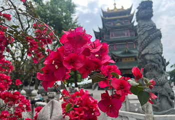 鸿恩寺公园第 36 张图片