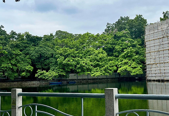 流花湖公园第 36 张图片