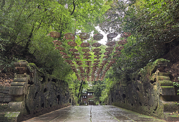 蒙顶山第 82 张图片