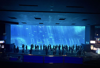 冲绳美丽海水族馆第 168 张图片
