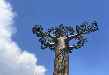 苏州乐园森林水世界第 18 张图片