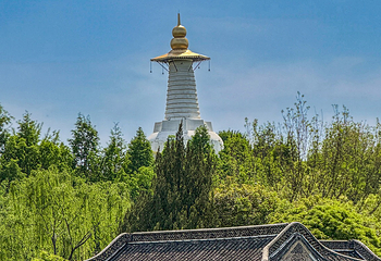 瘦西湖第 42 张图片