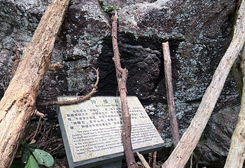 天目山自然保护区第 104 张图片