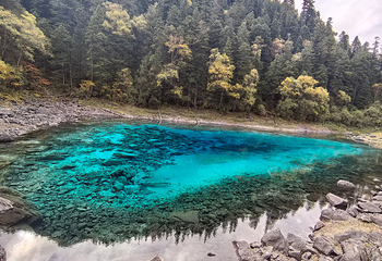 九寨沟风景区第 348 张图片