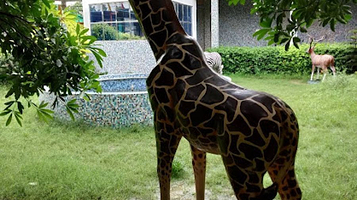 Varanasi Fun City | Water Park & Rain Dance In Varanasi