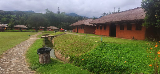 南湖山地村第 14 张图片
