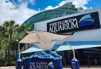 佛州水族馆第 8 张图片