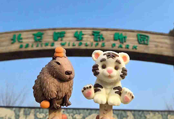 北京野生动物园第 81 张图片