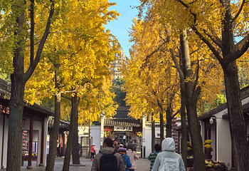 虎丘山风景名胜区第 132 张图片