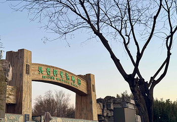 北京野生动物园第 115 张图片