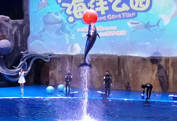华夏文旅海洋公园第 115 张图片