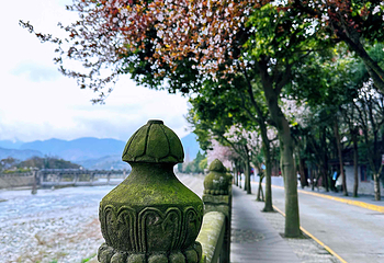 都江堰景区第 217 张图片