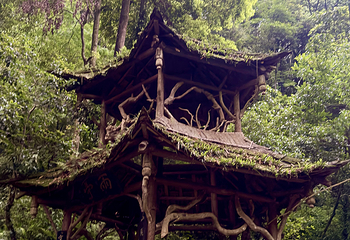 青城山第 320 张图片