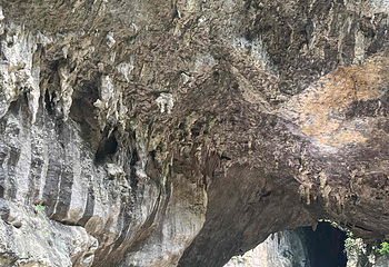 九洞天第 25 张图片
