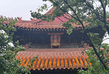 曲阜三孔景区第 184 张图片