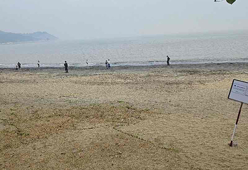 黑沙海滩第 31 张图片