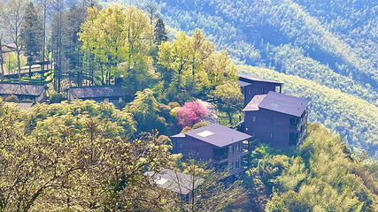 莫干山风景名胜区第 65 张图片