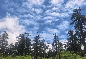 瓦屋山景区第 64 张图片