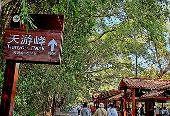 武夷山国家公园第 127 张图片