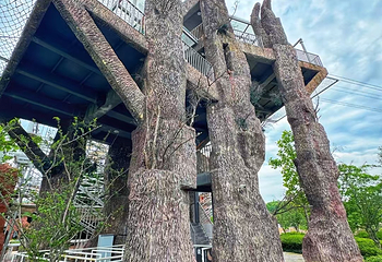 千岛湖华美胜地度假区第 67 张图片