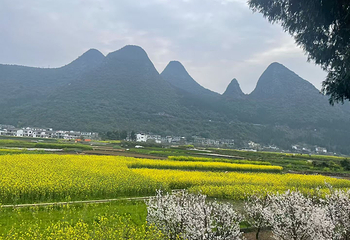 万峰林景区第 100 张图片