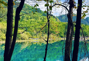 九寨沟风景区第 701 张图片
