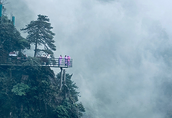 羊狮慕风景区第 65 张图片