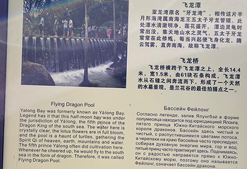 亚龙湾热带天堂森林公园第 278 张图片