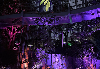 上海温室花园第 261 张图片
