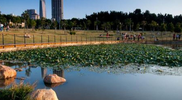 深圳中心公园-D1区